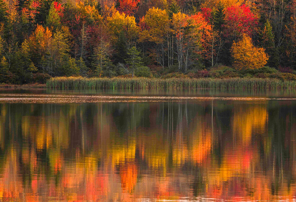 Reflections on Spruce Lake