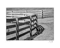 Paddock Fences