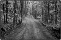 Great Smoky Mountain National Park - Infrared Images - January 2022